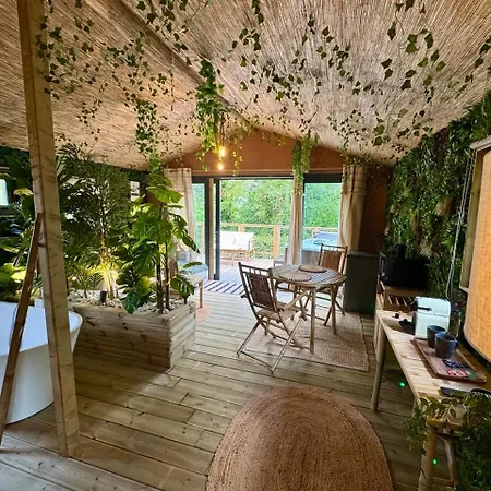 Jungle Camping